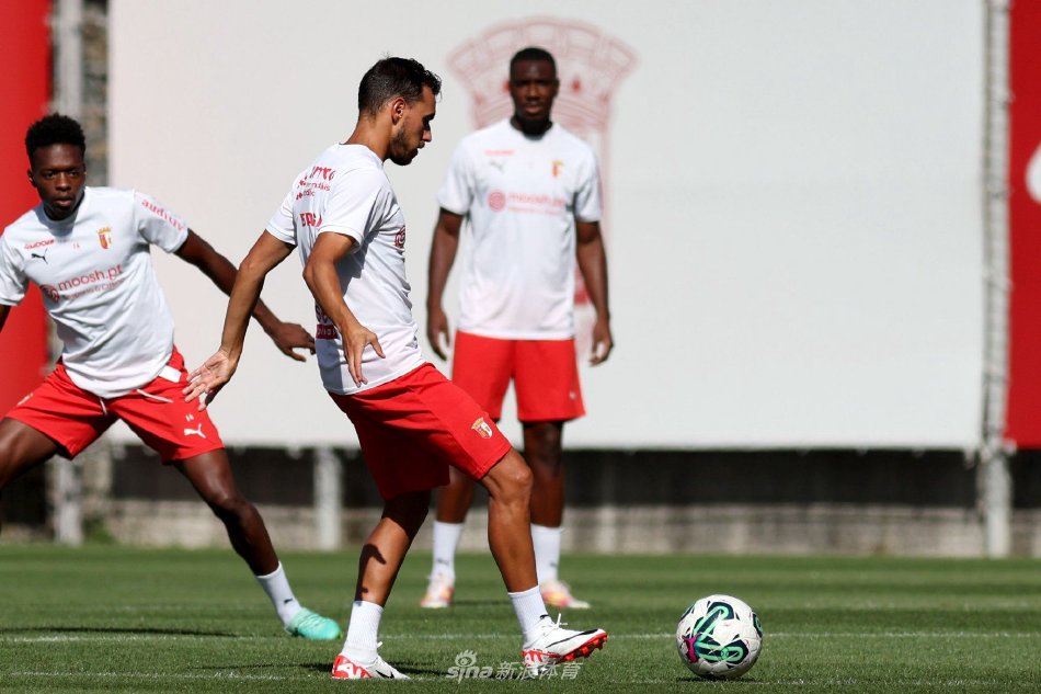 了解半月板 了解半月板