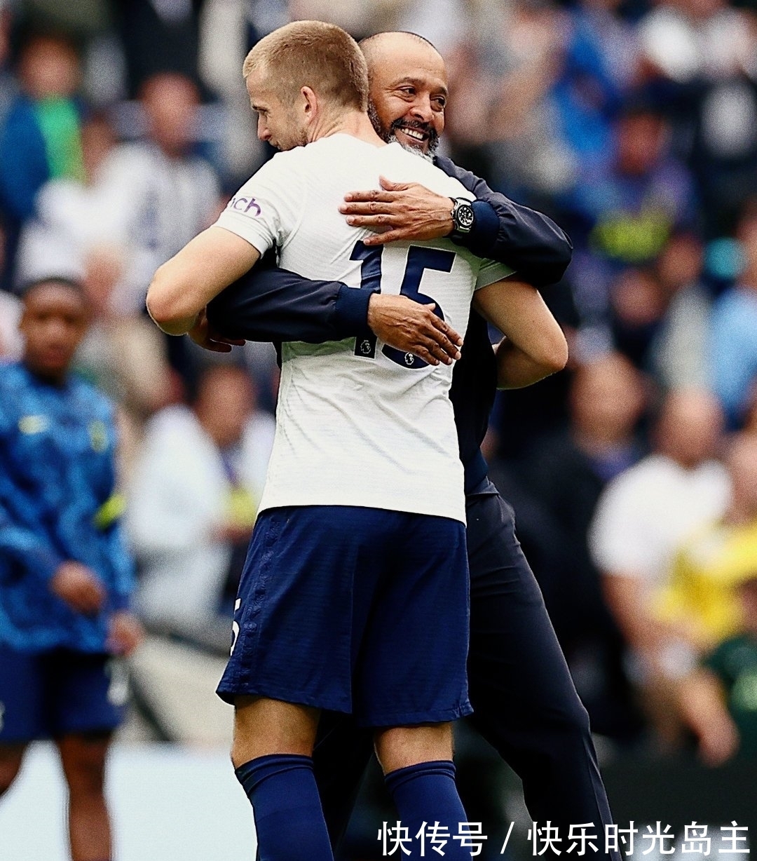 体观赏性 体观赏性